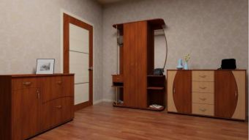 Меблі в будинку: передпокій в сучасній квартирі