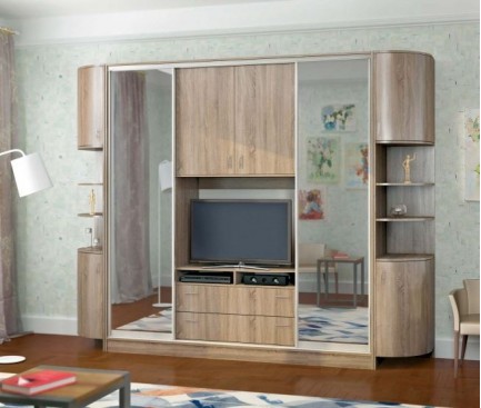 Шкаф-купе Киноман 2,7м