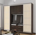 Шкаф-купе ТВ Наоми 2,7м